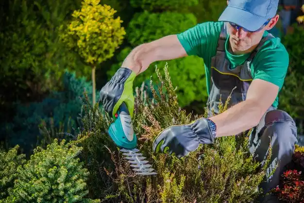 landscaping services Seven Mile